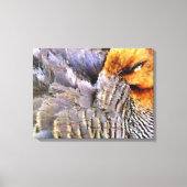 TOILE DUCK DE SOMMEIL (Recto)