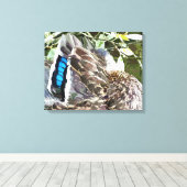 TOILE DUCK FEATHERS (Insitu (Plancher de Bois))