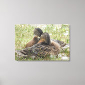 Toile Duck Love (Recto)