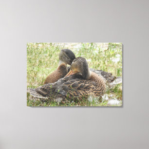 Toile Duck Love