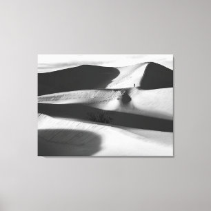 Toile Dunes de sable Mesquite