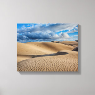 Toile Dunes infinies