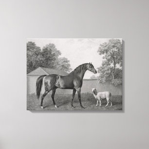 Toile Dungannon, gravé par George Townley Stubbs (1756