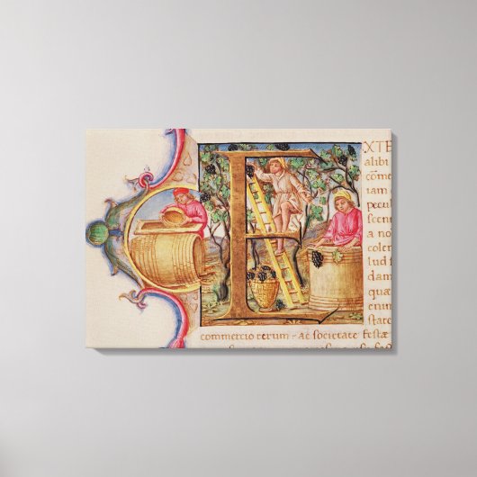 Toile 'E' initial historique représentant la cueillette  (Recto)