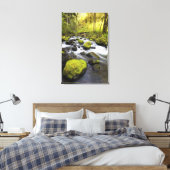 Toile Eau Fluant Par La Mousse Couvert Les Roches Dans U (Insitu(Chambre))