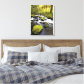Toile Eau Fluant Par La Mousse Couvert Les Roches Dans U (Insitu(Chambre))