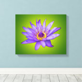 Toile Eau Lily Étang Aquatique Purple Fleurit (Insitu (Plancher de Bois))
