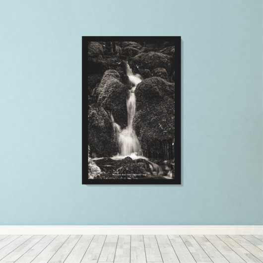 Toile Eau sur la mousse (Insitu (Plancher de Bois))