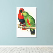 Toile Eclectus de Nouvelle-Guinée, perroquets, (Insitu (Plancher de Bois))
