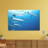 Toile École de barracuda (Sphyraena qenie) (Insitu(Salon))