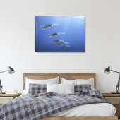 Toile École de calmar dans les Caraïbes (Insitu(Chambre))