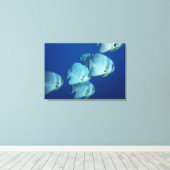 Toile École de poissons (Insitu (Plancher de Bois))