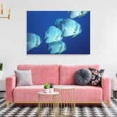 Toile École de poissons (Insitu(Salon))