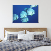 Toile École de poissons (Insitu(Chambre))