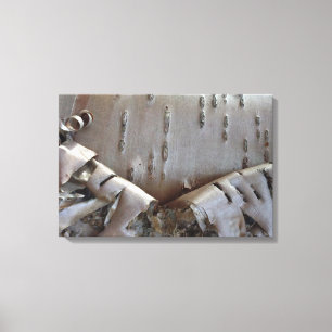 Toile Écorce de bouleau frisé Arbre rustique