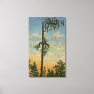 Toile Écrimage du sapin géant pour la navigation de 20