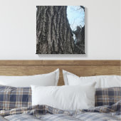 Toile Écureuil (Insitu(Chambre))