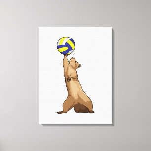 Toile Écureuil avec volleyball