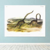 Toile Écureuil des marmottes annulé, Sqrl de fond à queu (Insitu (Plancher de Bois))