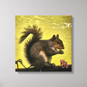 Toile Écureuil gris de l'Est (Sciurus carolinensis)