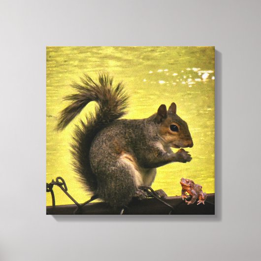 Toile Écureuil gris de l'Est (Sciurus carolinensis) (Recto)