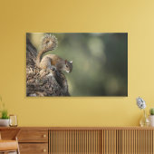 Toile Écureuil gris oriental ou écureuil gris (Insitu(Salon))