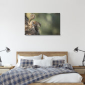 Toile Écureuil gris oriental ou écureuil gris (Insitu(Chambre))