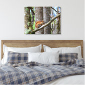 Toile Écureuil Rouge à Woods (Insitu(Chambre))