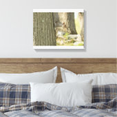 Toile Écureuil sauvage avec une noix dans la bouche (Insitu(Chambre))
