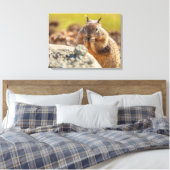 Toile Écureuil terrestre (Insitu(Chambre))