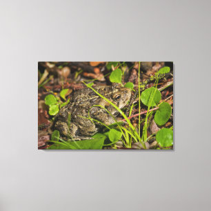 Toile Edmonton, Alberta, Canada