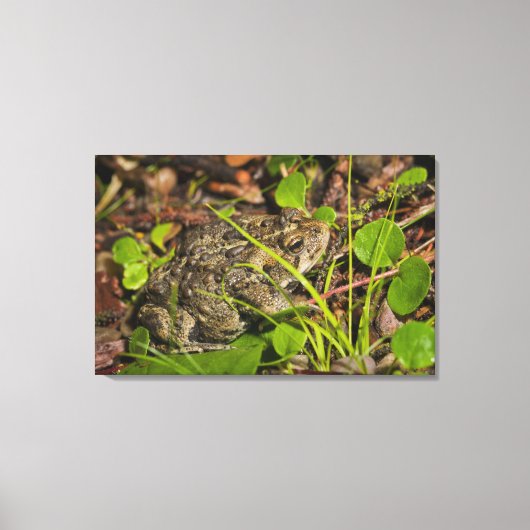 Toile edmonton, alberta, canada (Recto)