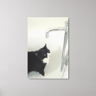 Toile Égoutture d'eau potable de chat d'un robinet
