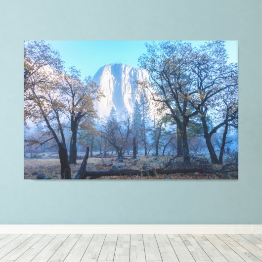 Toile El Capitan (Insitu (Plancher de Bois))