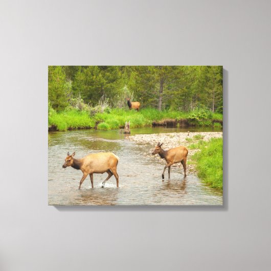 Toile Élans traversant le fleuve Colorado (Recto)