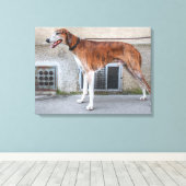 Toile Elder Brindle Greyhound (Insitu (Plancher de Bois))