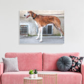 Toile Elder Brindle Greyhound (Insitu(Salon))