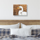 Toile Elegant Great Egret in the Reeds (Insitu(Chambre))