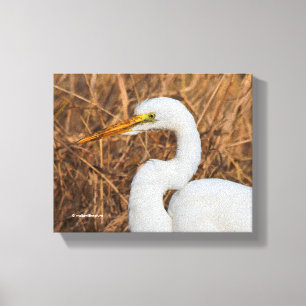Toile Elegant Great Egret in the Reeds