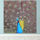Toile Elégant Peacock En Bleu Avec Queue Fannée (Insitu (Plancher de Bois))