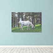 Toile Élégante Belle Cheval Blanc Art Original (Insitu (Plancher de Bois))