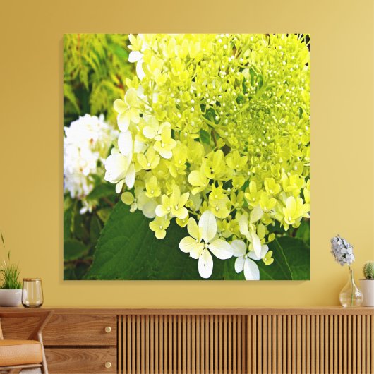 Toile Élégante Chartreuse Vert Limelight Hydrangea (Insitu(Salon))