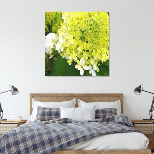 Toile Élégante Chartreuse Vert Limelight Hydrangea (Insitu(Chambre))