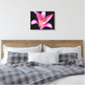 Toile Élégante Lys Lilium Lilium Oriental Rose Stargazer (Insitu(Chambre))