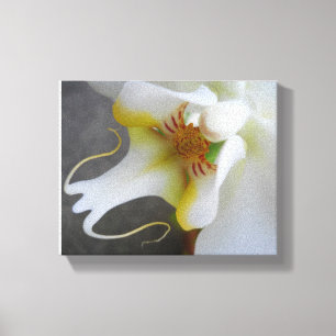 Toile Elégante Orchidée Blanche - photo d'art