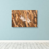 Toile Elégante Plumes Blanches En Herbe Pré Doré (Insitu (Plancher de Bois))