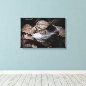 Toile Elégante Plumes Blanches Sur Feuilles Espresso Col (Insitu (Plancher de Bois))