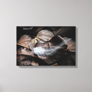 Toile Elégante Plumes Blanches Sur Feuilles Espresso Col