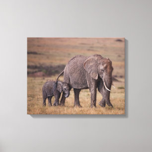 Toile Éléphant d'Afrique avec bébé