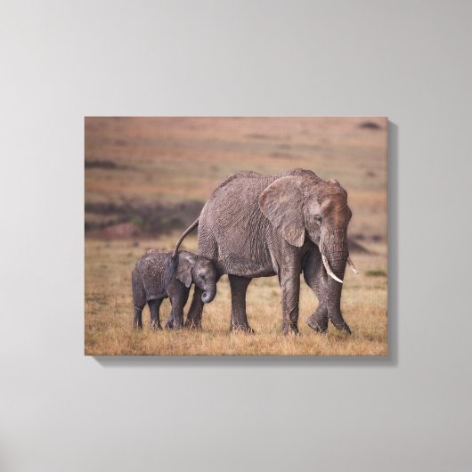 Toile Éléphant d'Afrique avec bébé (Recto)